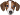 DogFace