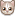 pink cat